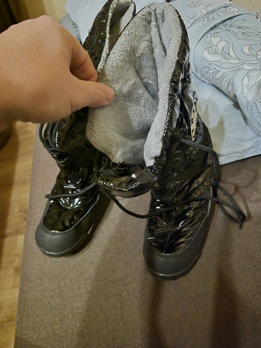 Śniegowce wysokie 39