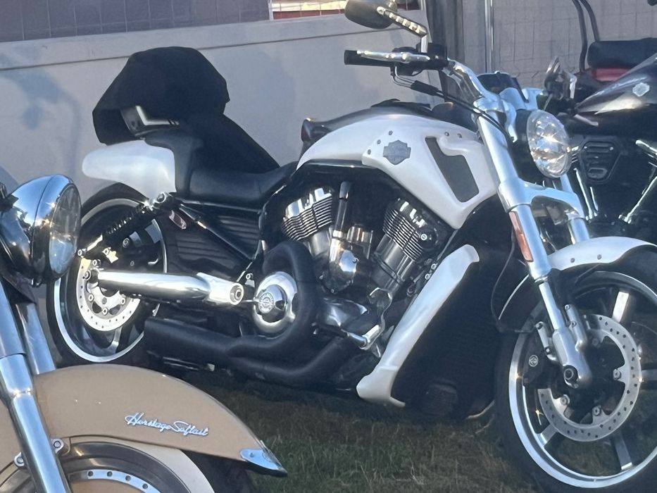 Harley Davidson V-Rod Muscle