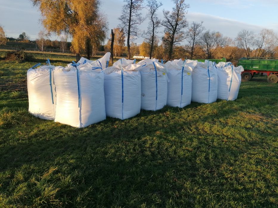 Ccm mielone ziarno kukurydzy w big bag 2025 transport