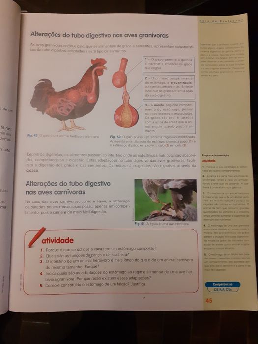 Manual Ciências da Natureza seis 6.º ano