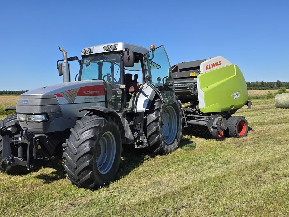 Siano bele sprzedam  po pasówce