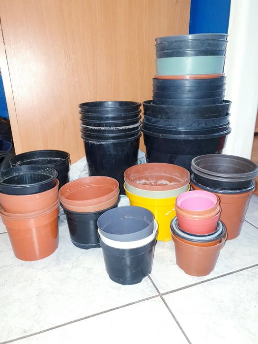 Ponad 50szt Doniczka produkcyjna  doniczki fi 24 - fi 11 dużo do rozsa