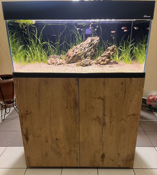 Aranżacja akwarium ze skał Dragon Stone