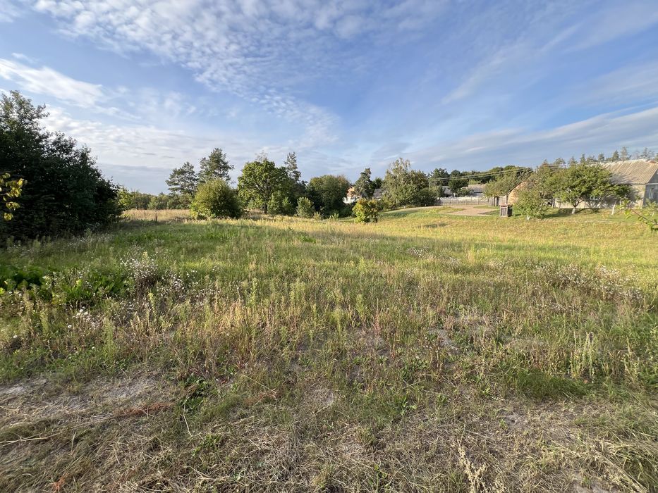 Продам будинок в селі Скригалівка