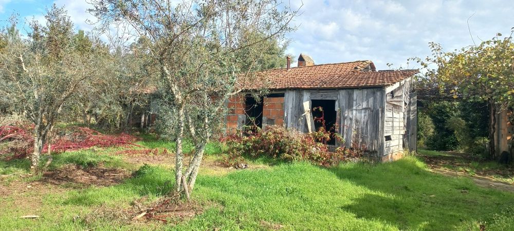 Quinta com casa habitação em Sabugosa-Tondela Tondela