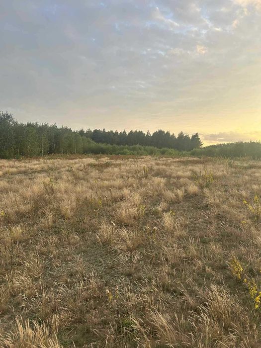 Działka budowlana 135000zl - Widok 3