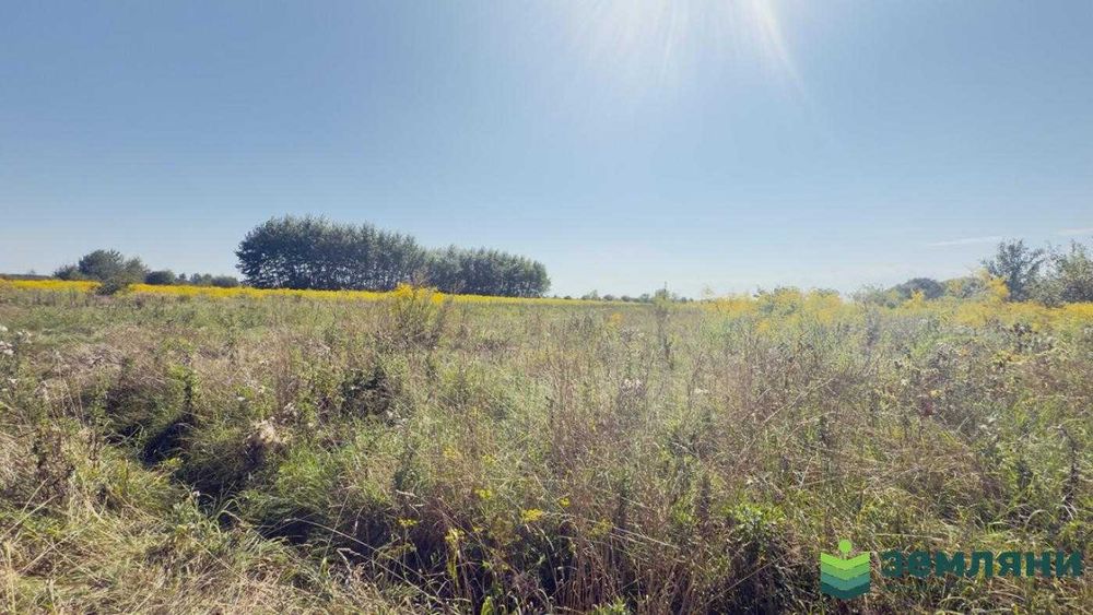 Продається ділянка 20 сот під будівництво в Хриплині (7)