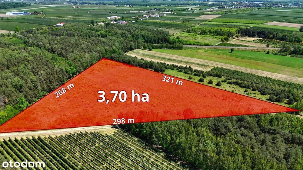 Działka 3,70 ha przy lesie- Żurawka, gmina Biała Rawska - Widok 2