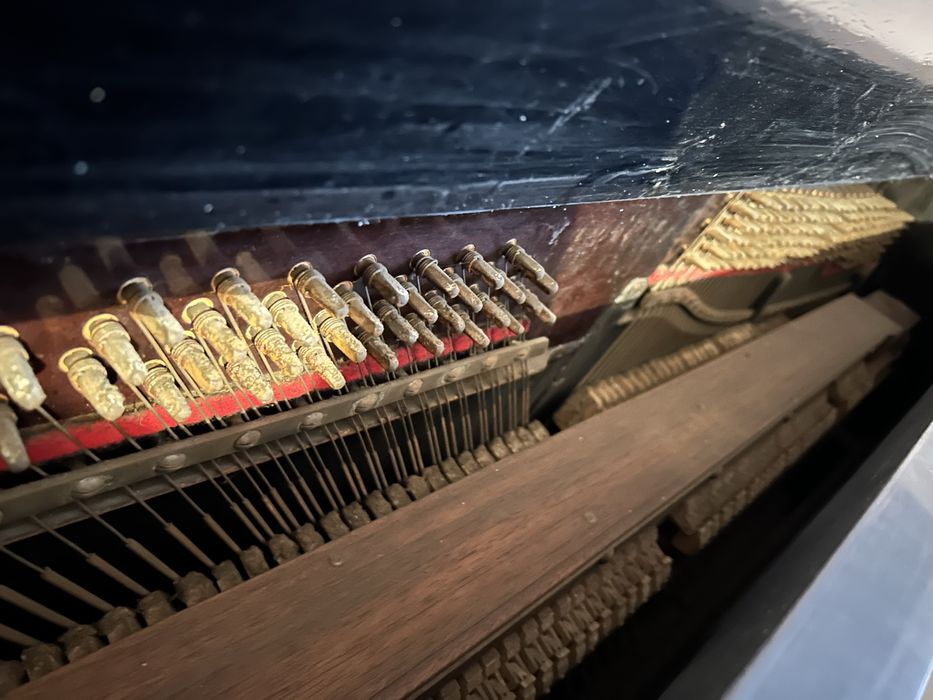 Pianino - oferta aktualna