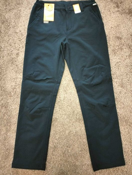 Чоловічі зимові штани Regatta Fenton Softshell