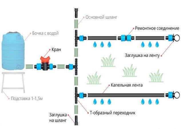 Обрізка дерев,догляд за ділянкою, с.Пухівка, керуючий інженер