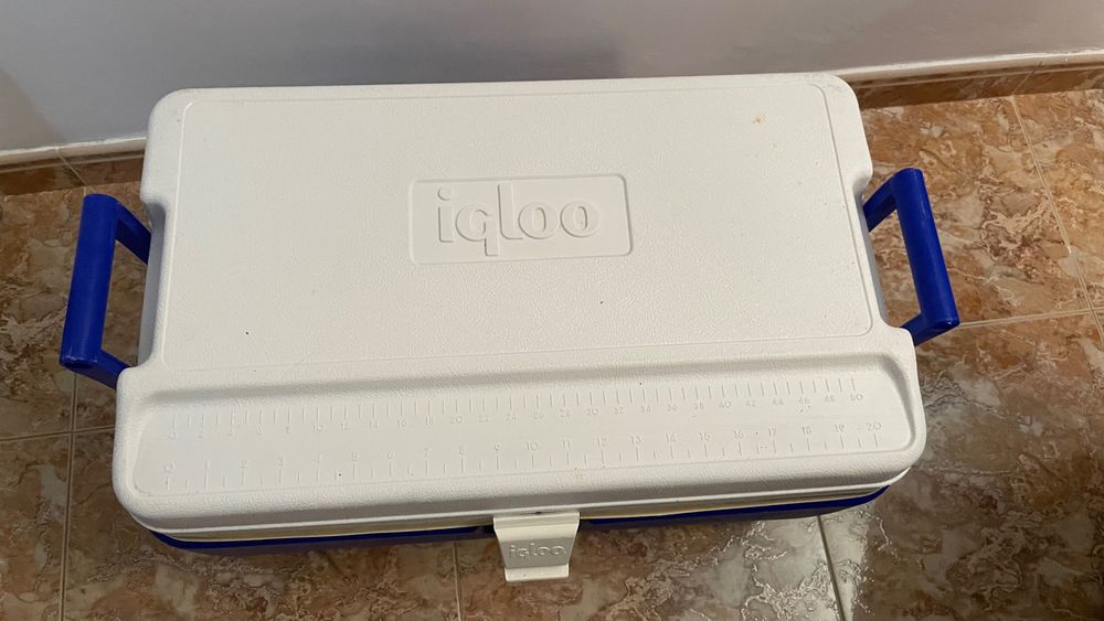 Igloo caixa refrigeradora