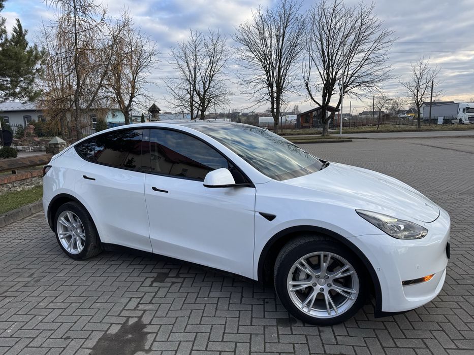 Tesla Model Y Long Range Dual Motor 82 кВт 2021