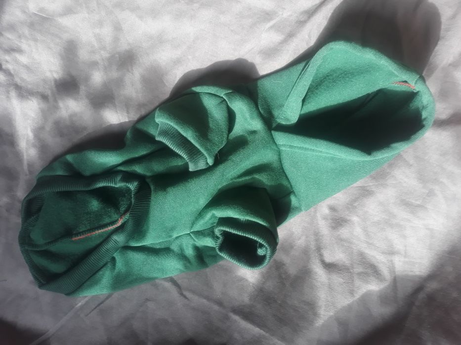 Ubranie dla psa bluza dinozaur