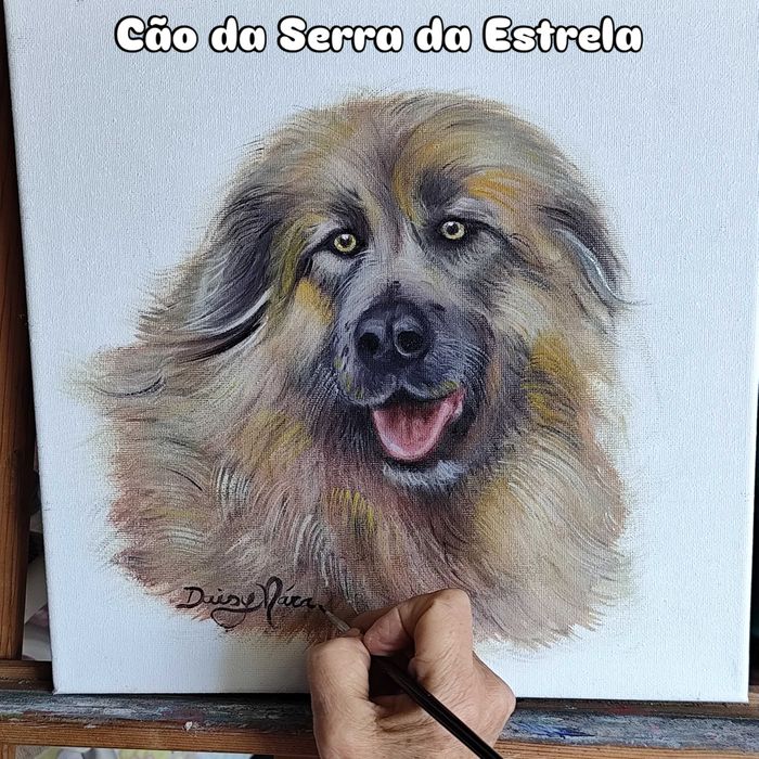 Artes, pintura a óleo Pets.