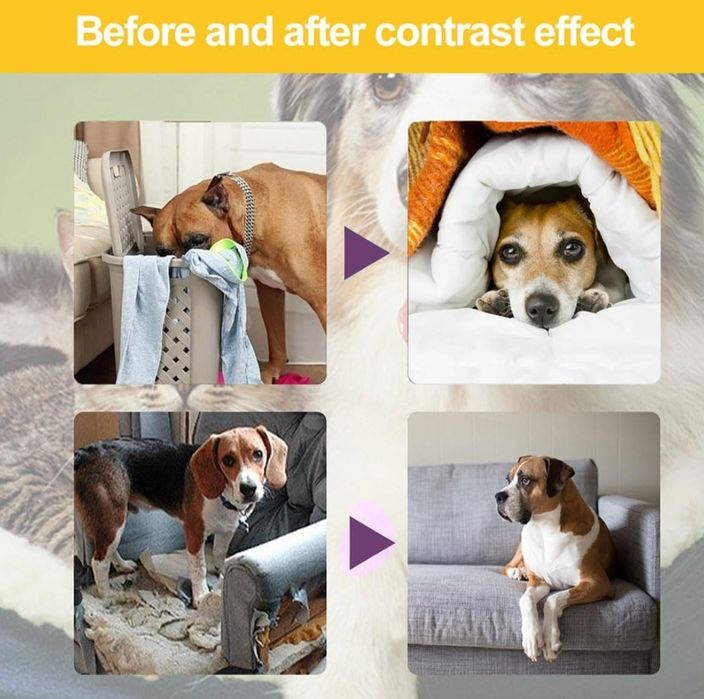 Spray przeciwporysowy dla psa, kota. Spray treningowy