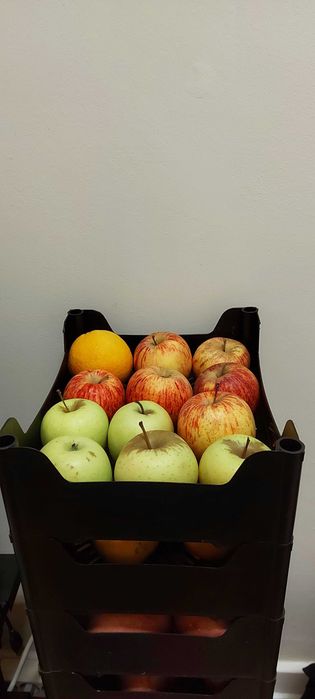 Caixas plástico pretas empilhavel arrumação caixa - preto