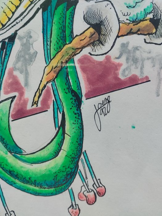 dois quadros "papagaios" pintados a mão, assinados