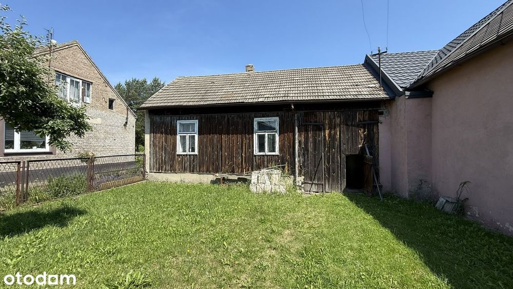 Zdjęcie 3