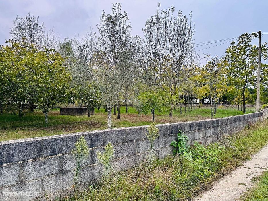 Dois artigos: Urbano com 498 m2 e terreno rústico com 1000 m2 em Vilar