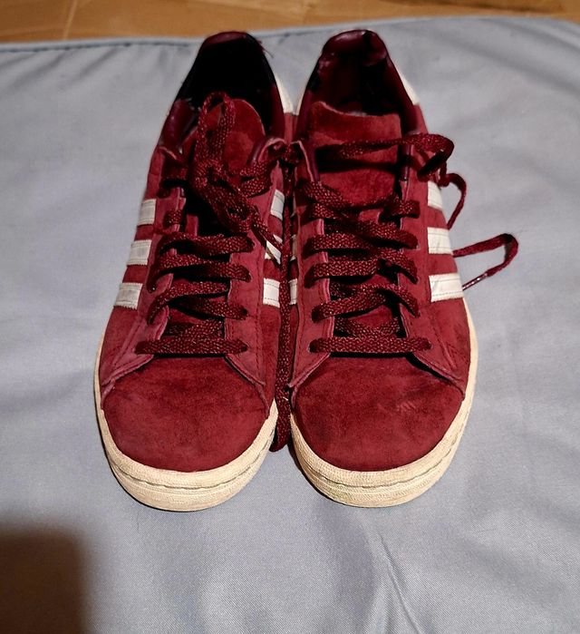 Adidas campus bordo