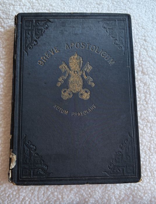 Breve Apostolicum: Actum Praeclare, um documento oficial da Igreja Católica emitido pelo Papa Leão XIII