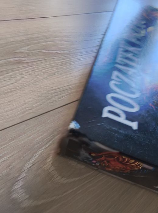 Początek przygody D&D gra planszowa