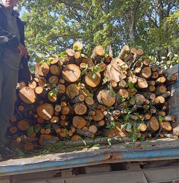 Продам дрова твердих та мішаних пород