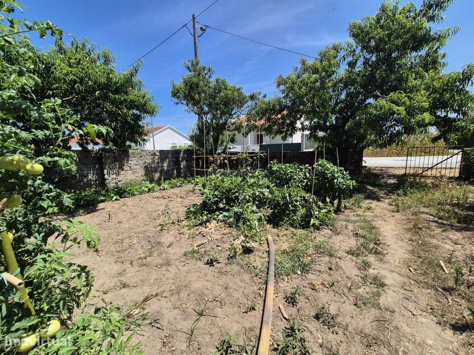 Terreno-plano-com -viabilidade de construção- Paião- Figueira da Foz