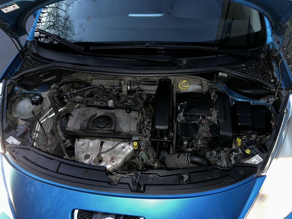 Продам пыжика в хорошем состоянии.