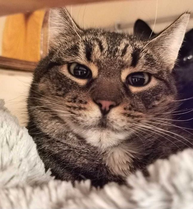 Filipinka wypatruje domku