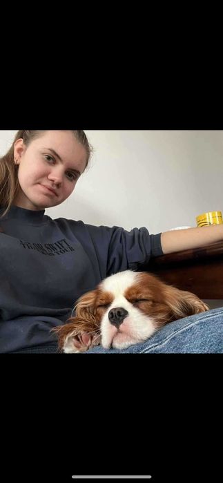 opieka nad zwierzętami/spacery - Warszawa