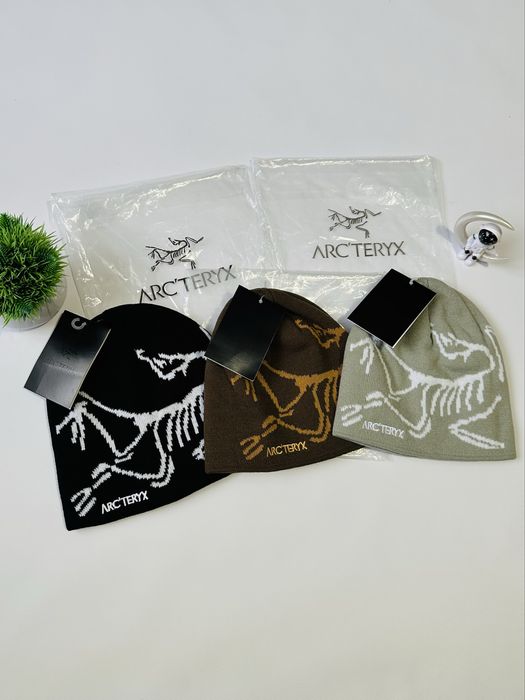 Шапка Arc’teryx Bird Head Toque y2k