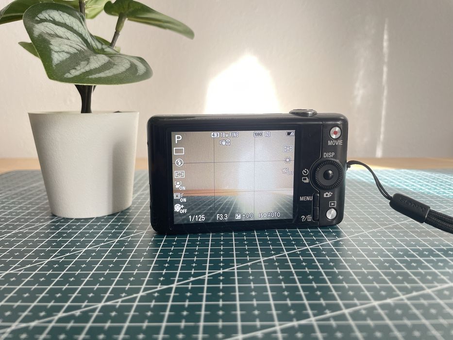 Sony CyberShot WX220