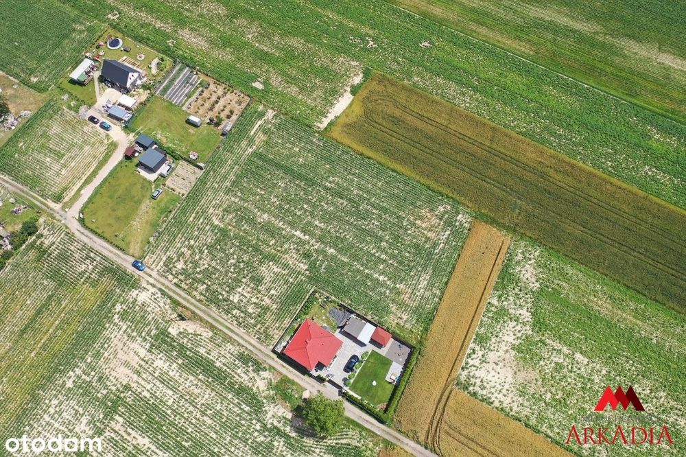 Działka budowlana 739 m² Zarzeczewo, gm. Fabianki - Widok 6