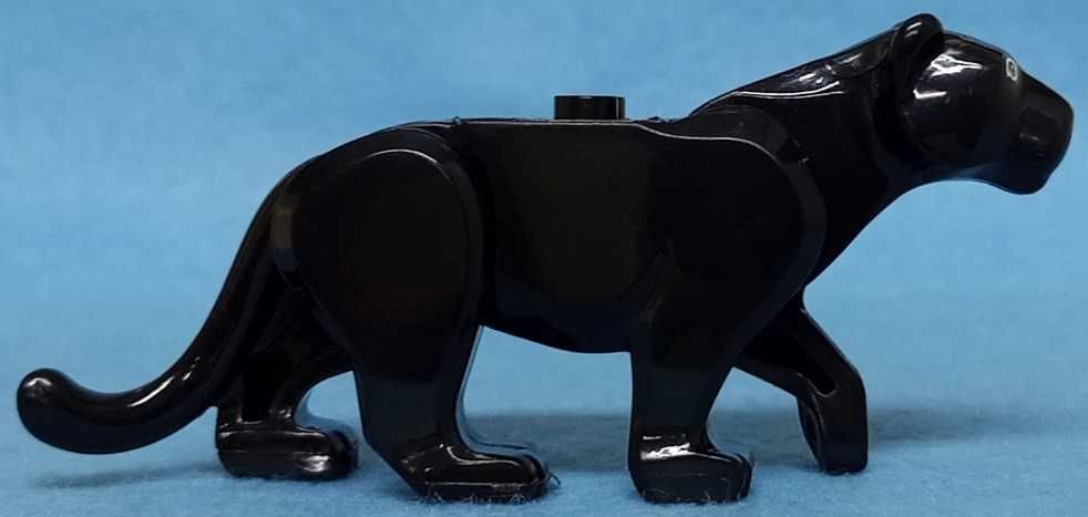 Panther (Animals)64737905513986124