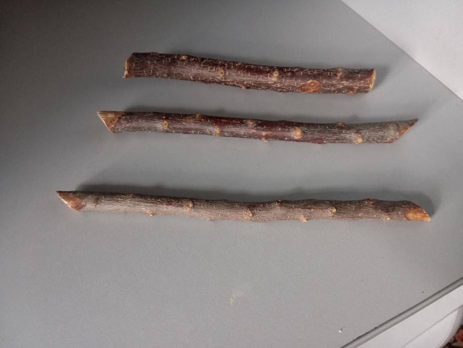 Гілки-жердини для папуг