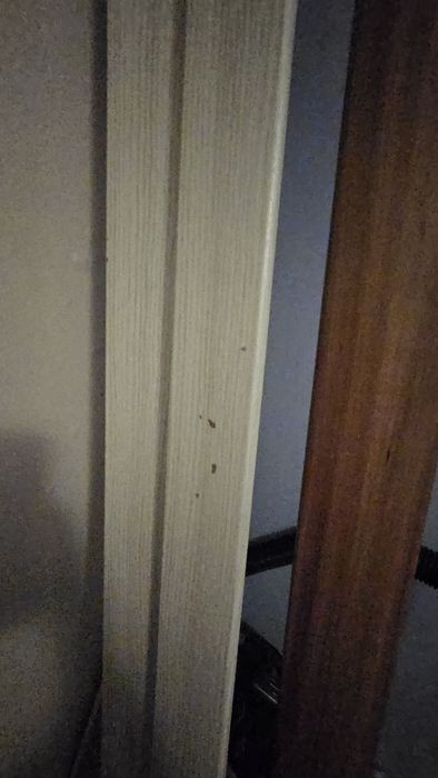 Міжкімнатні двері від забудовника. Внутрішній розмір рами  780 × 1960.