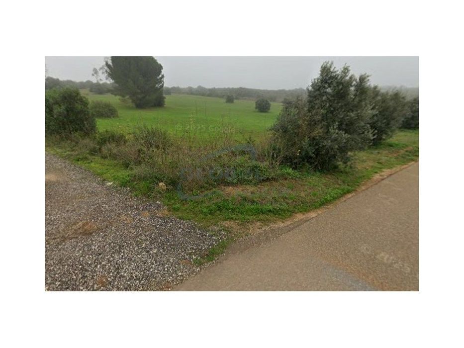 Terreno Rústico com 1,9 ha em Arieiro - Almoster- Santarém