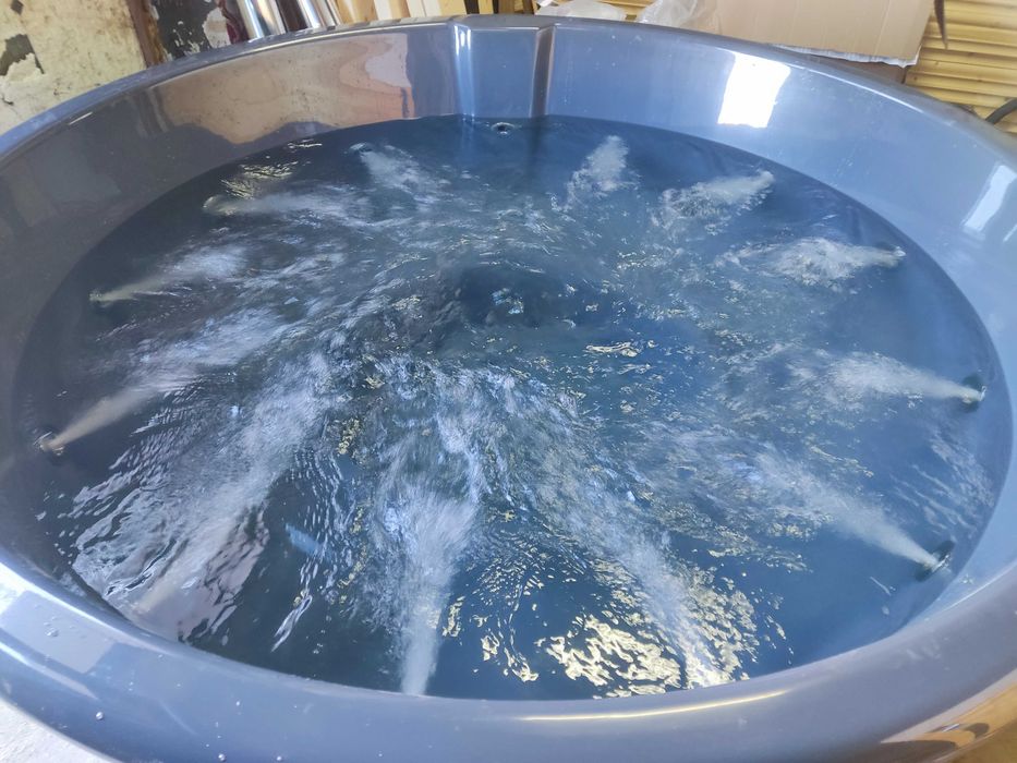 Kompletne SPA ogrodowe sauna beczka + balia jacuzzi + beczka do schładzania