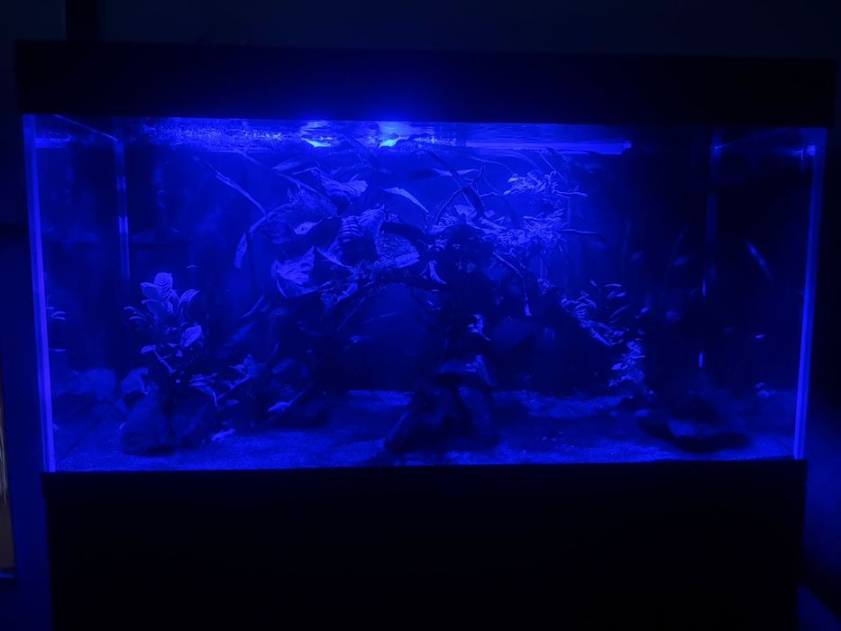 Zestaw akwarium Aquael opti set 200L