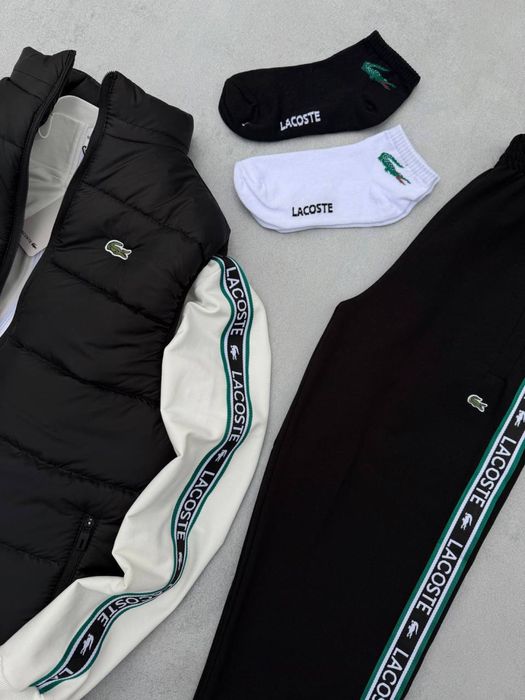 Чоловічий спортивний костюм лакоста набір Lacoste [3в1] [S,M,L,XL,XXL]