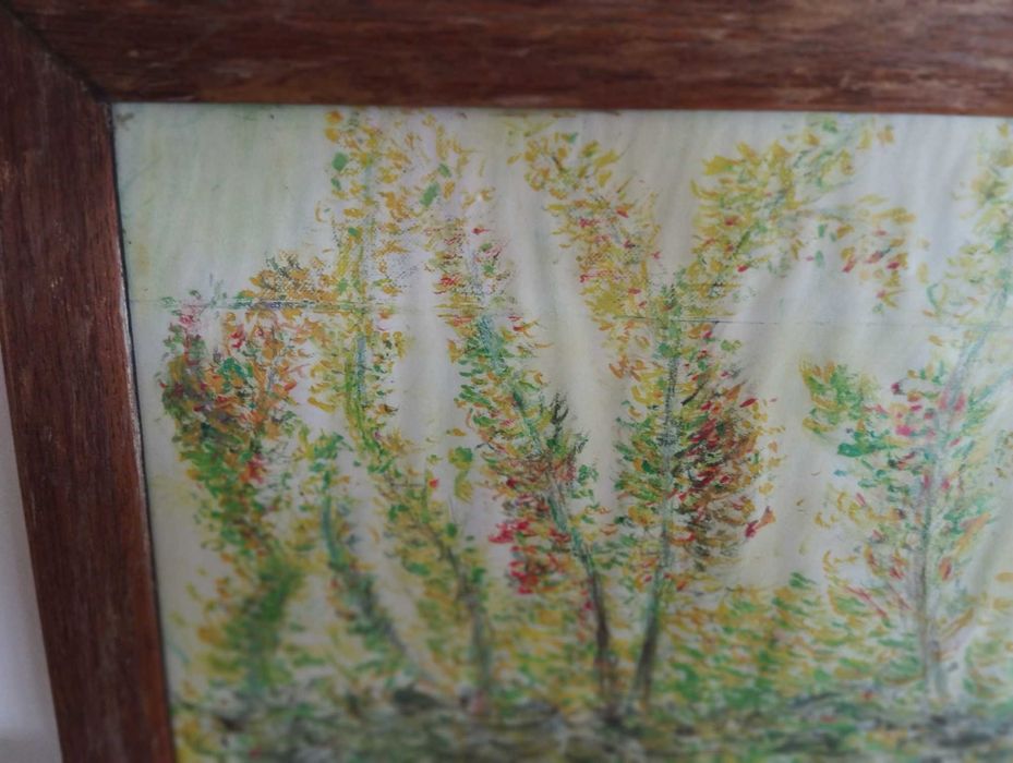 Desenho a lápis de cor quadro com moldura madeira e vidro