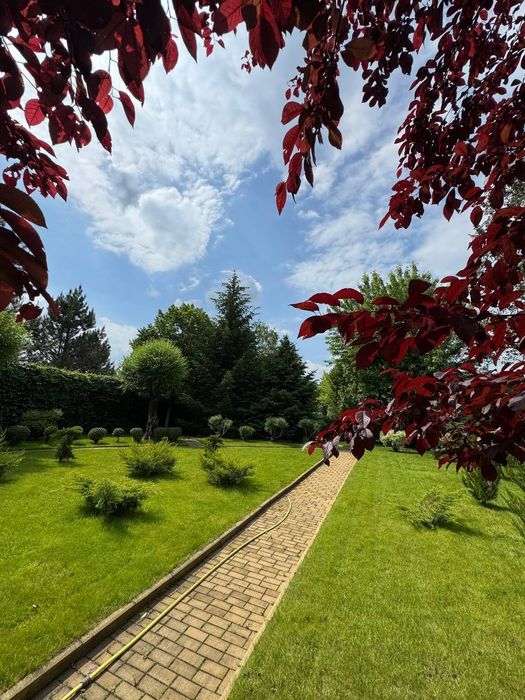 Продам дом Орловщина свой берег возле леса