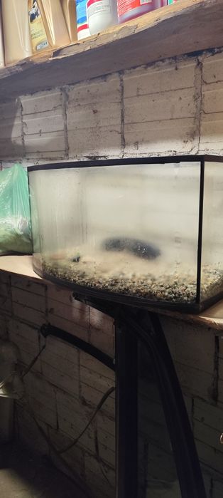 Sprzedam akwarium około 44~55L