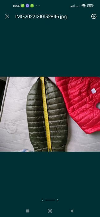 Одежда для собак