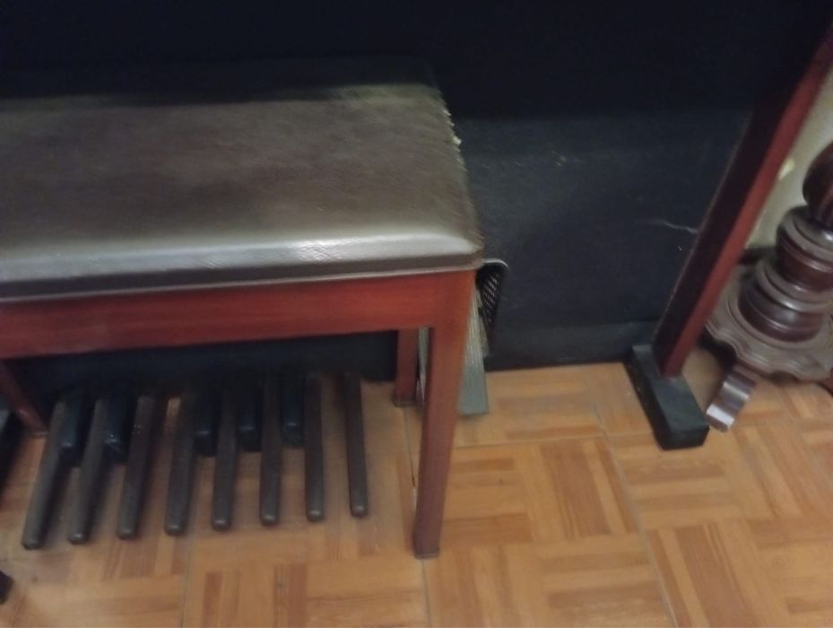 Orgao musical semi novo