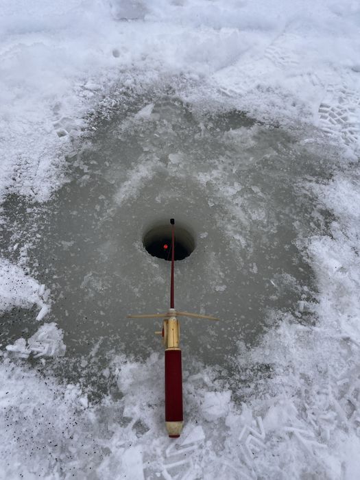 Котедж серед лісу  в Карпатах.  Риболовля. Чан.Сауна. Без сусідів.