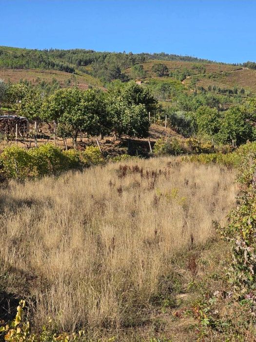 Vende-se terreno rústico com 500m2, na freguesia de Estreito