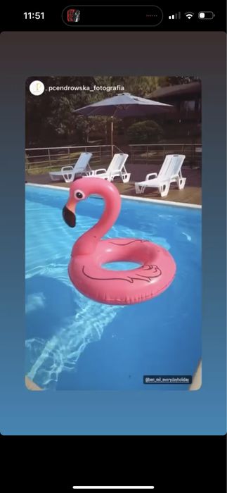 Dom z basenem do wynajęcia